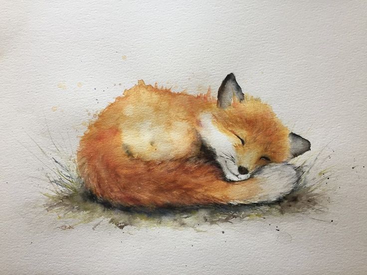 a watercolor painting of a fox sleeping on the ground with its head resting on another animal's back