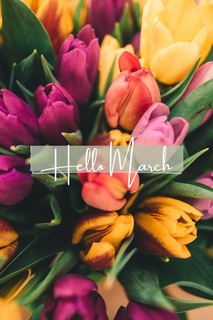 a bouquet of tulips and other flowers with the words hello wynch