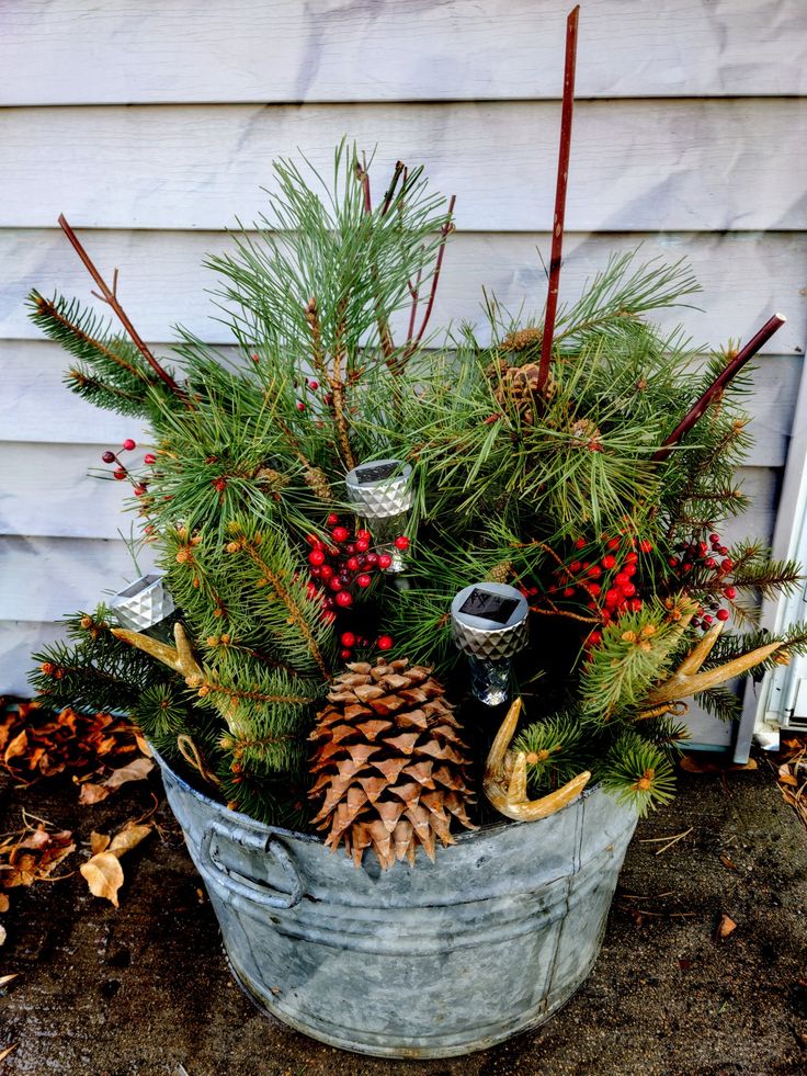 a bucket filled with pine cones and evergreens