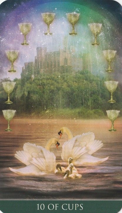 two swans in the water surrounded by champagne goblets and an image of a castle