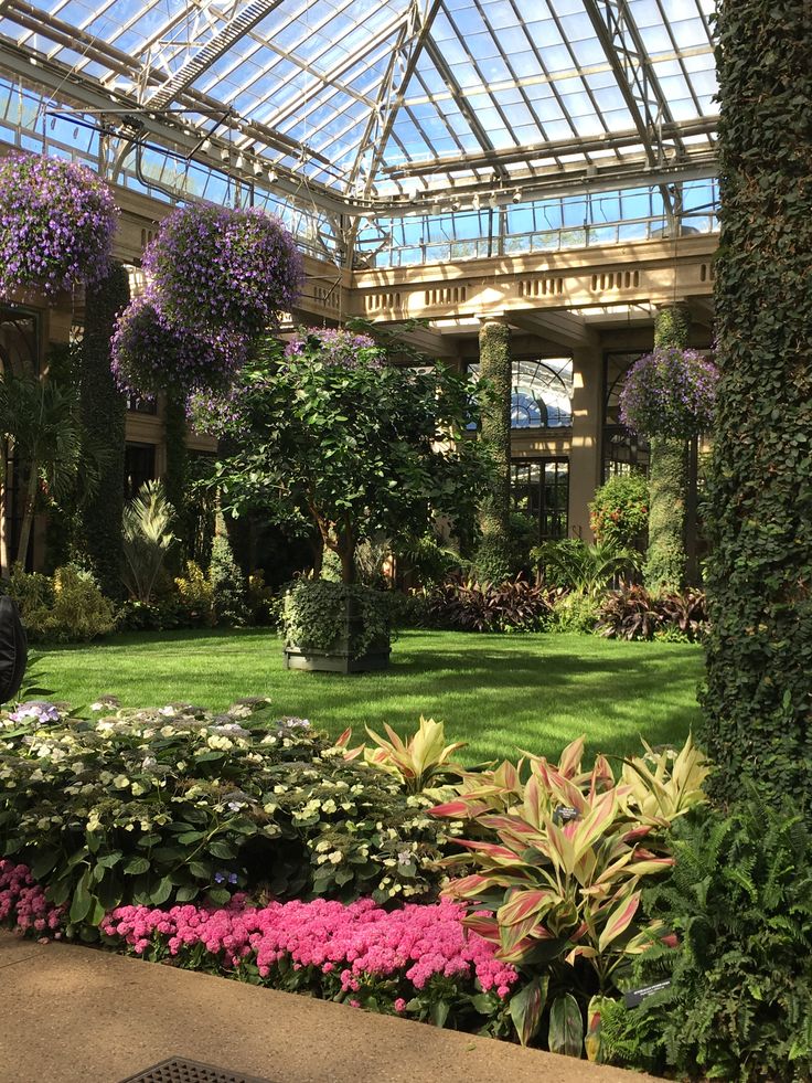 the inside of a building with lots of flowers and greenery in front of it