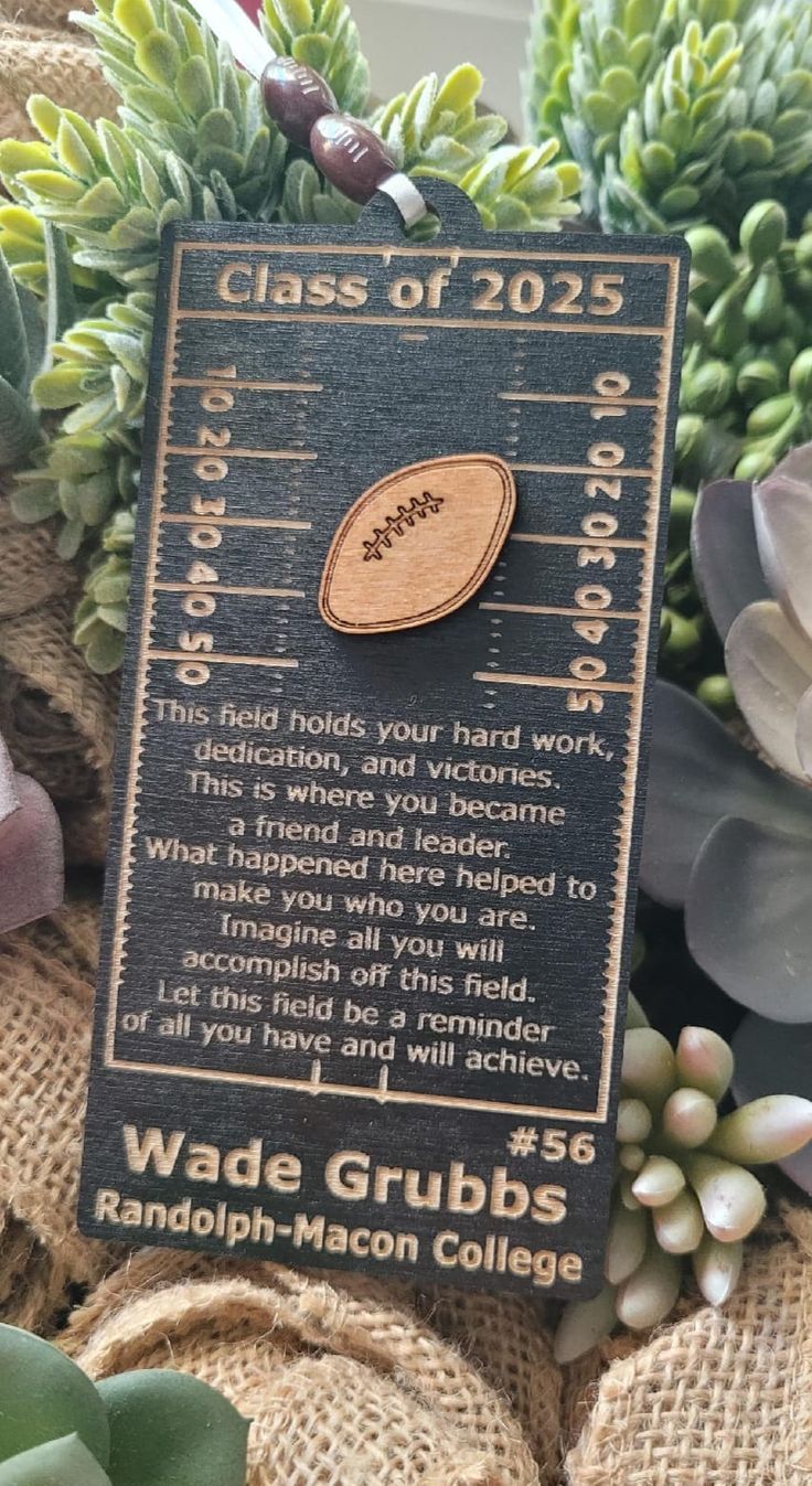 a plaque with a football on it sitting next to some succulents and plants