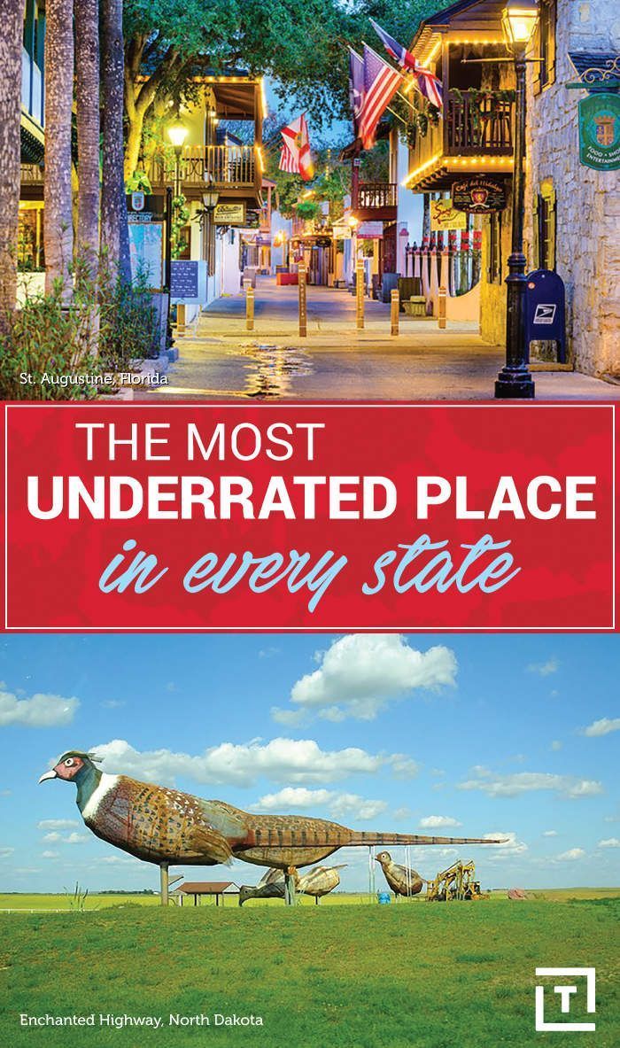 the most underrated place in every state, with an image of a large bird