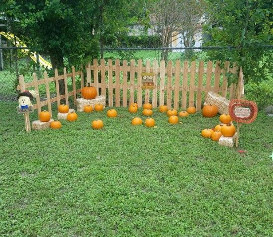 pumpkins are placed on the grass in front of a fence