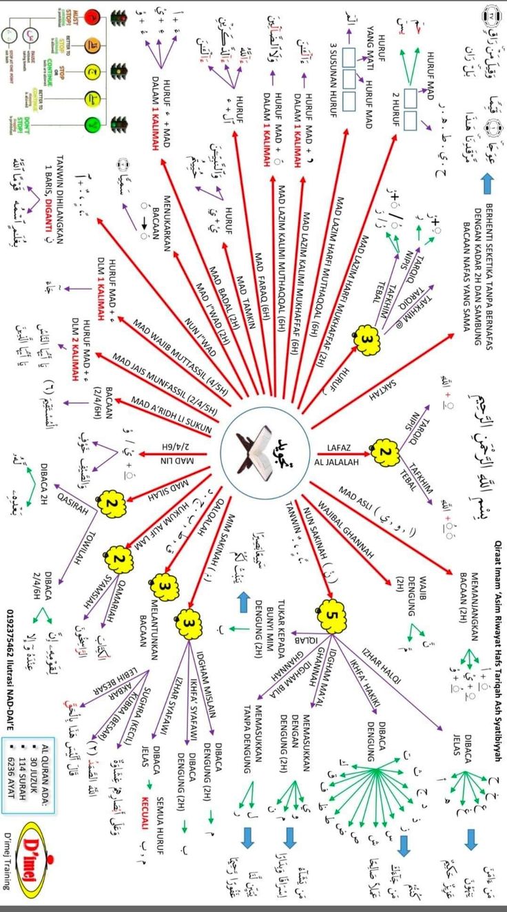 a diagram with many different symbols in it