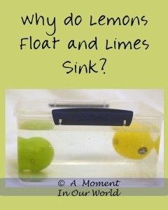 the words why do lemons float and limes sink?