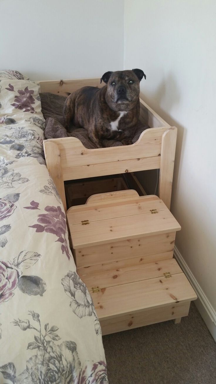 a dog laying on top of a wooden bed with two steps next to the bed