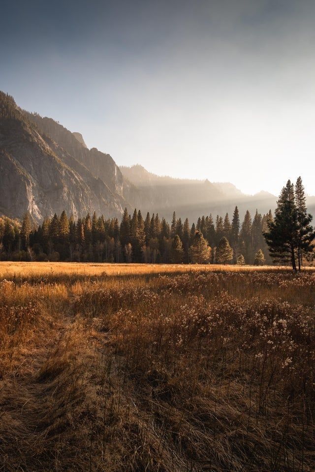 an empty field with trees and mountains in the background