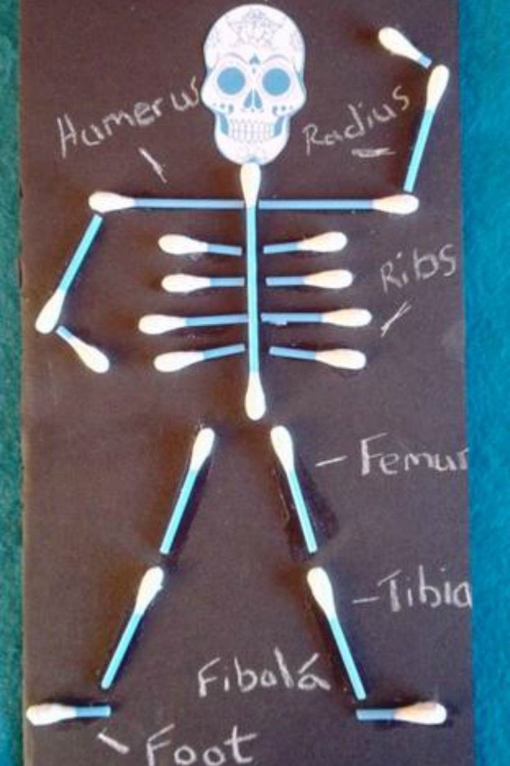 a skeleton made out of toothpicks on top of a blackboard