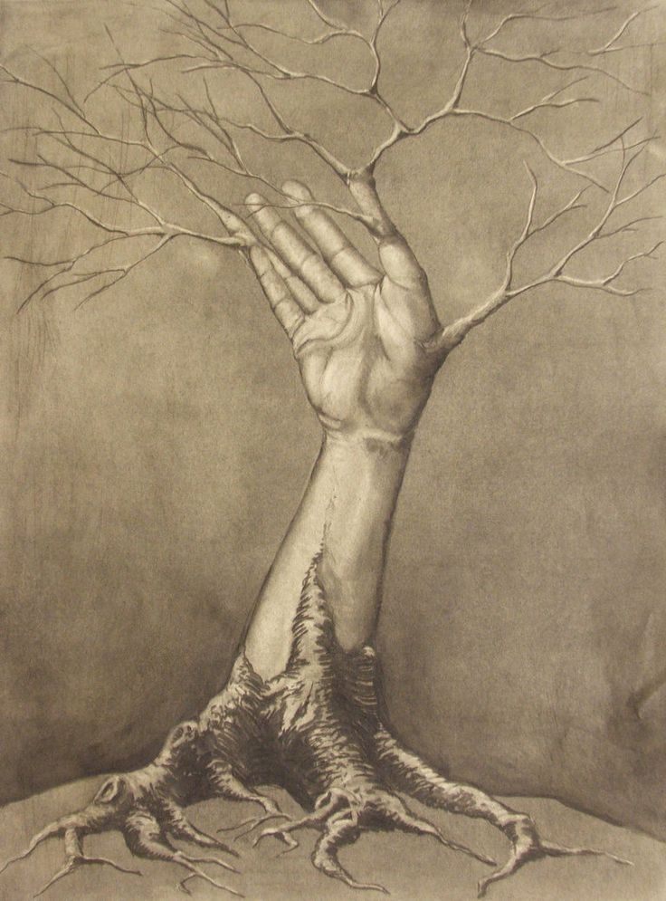 a drawing of a hand reaching up to a tree with no leaves on the branches