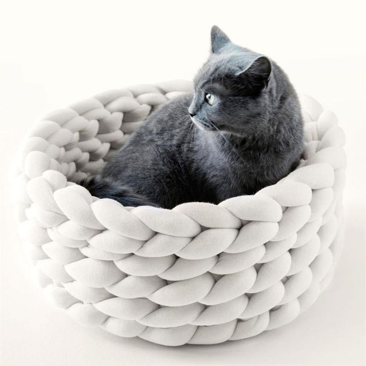 a black cat sitting in a white basket