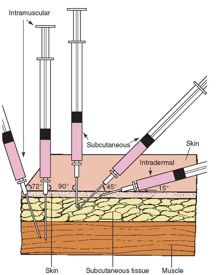 an app showing the different types of tools used to make construction work on a building