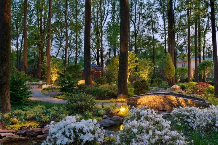 the garden is lit up with lights and flowers on it's sides, along with trees