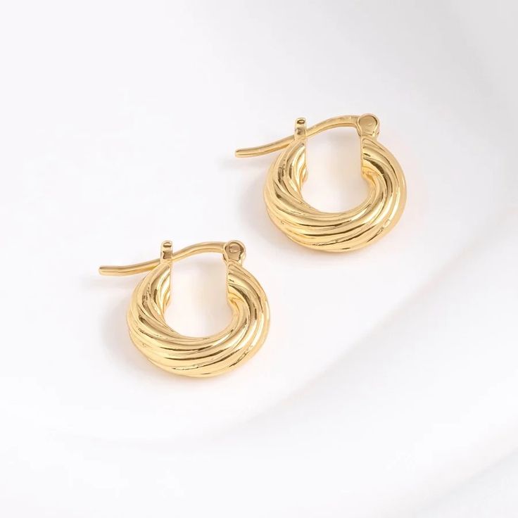 Ribbed Twisted Gold 8mm Hinged Huggie Earrings | Wanderlust + Co Wanderlust And Co, Gold Ear Cuff, Perfect Foundation, Huggie Earrings, Fine Jewels, Gold Drop Earrings, Huggies Earrings, Gold Vermeil, Beautiful Earrings