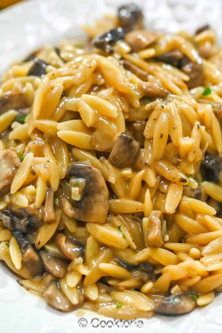 pasta with mushrooms and sauce on a white plate