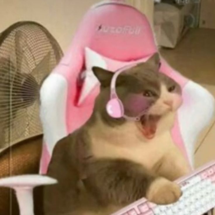 a cat sitting in a pink and white computer chair