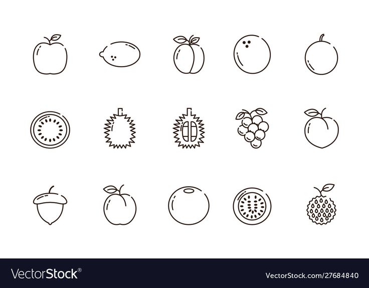 fruit line icons set on white background