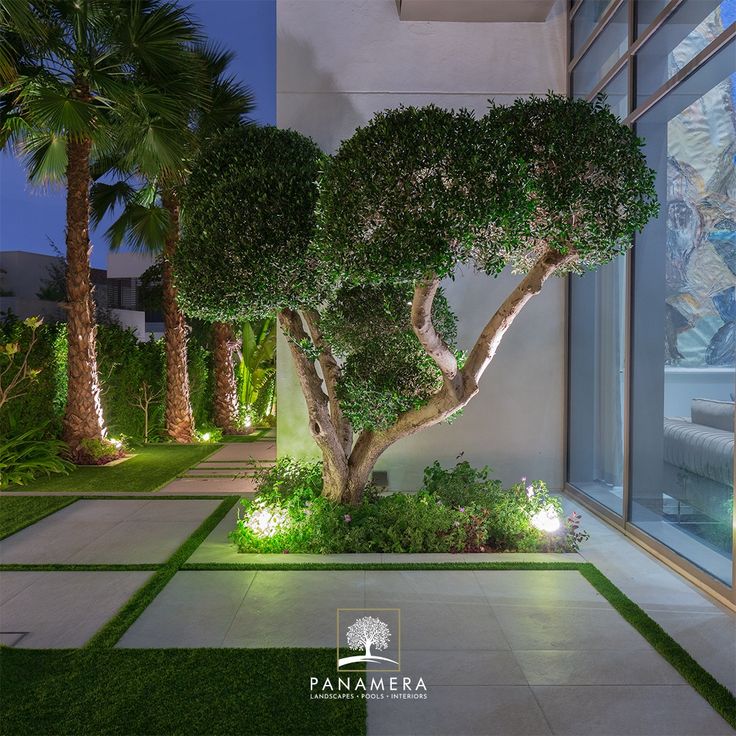 an outdoor area with trees and plants in the evening time, along side a building