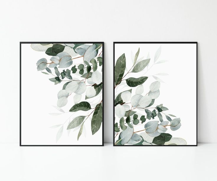 two framed art prints with eucalyptus leaves and berries on them, hanging on a wall