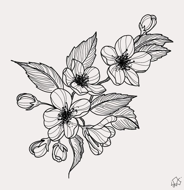 a black and white drawing of flowers