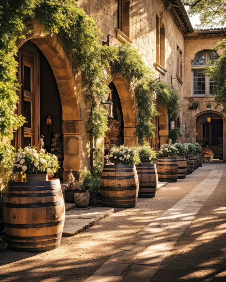 several large wooden barrels lined up in front of a building with ivy growing on it