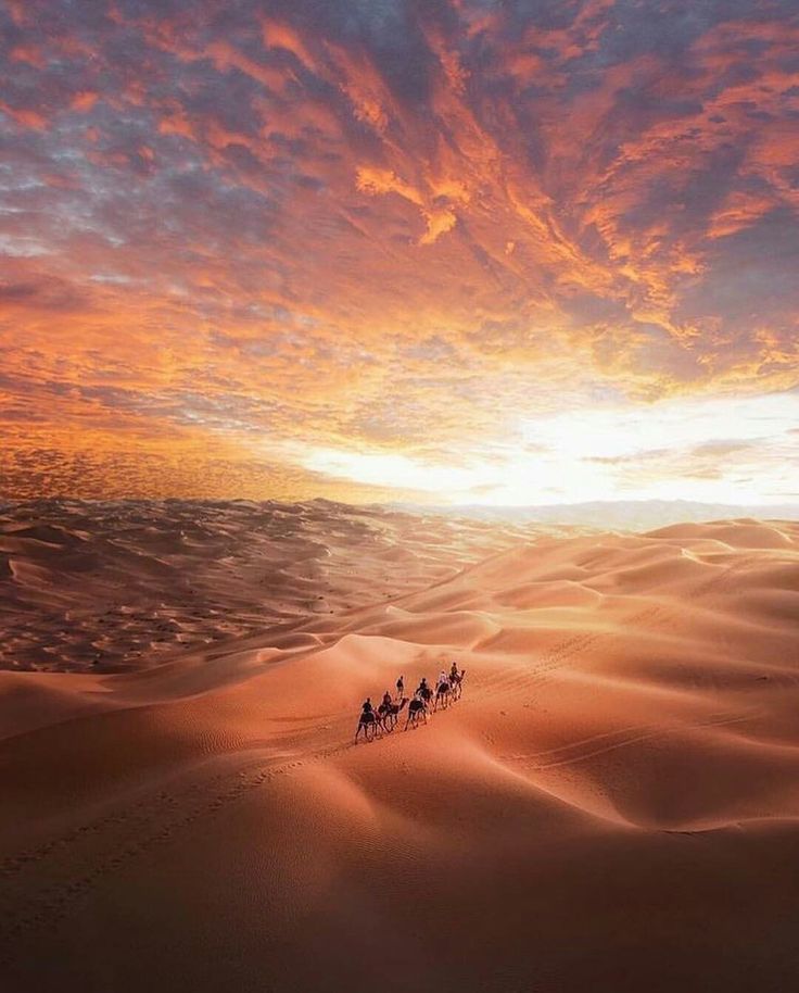 a group of people riding camels across a desert under a colorful sky at sunset