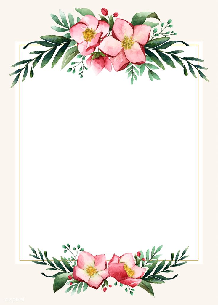 a floral frame with pink flowers and green leaves