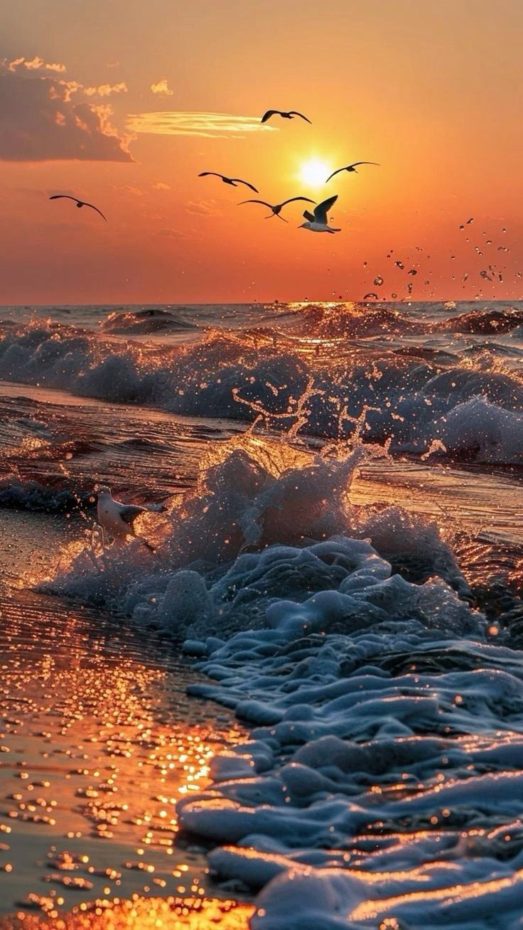 seagulls flying over the ocean at sunset