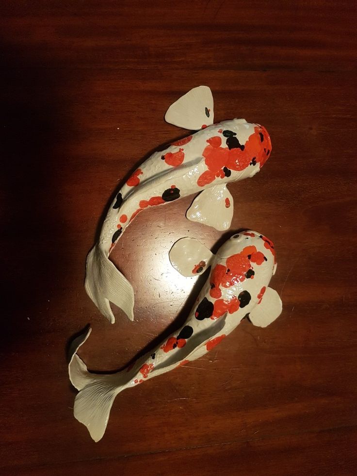 two koi fish sitting on top of a wooden table