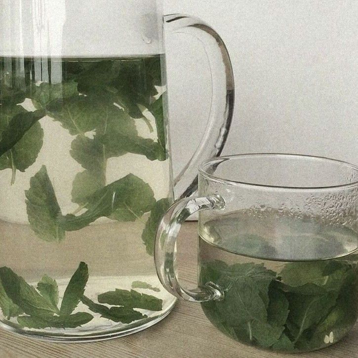 Green Aesthetic, Aesthetic Photo, Aesthetic Food, 11 11, Pretty Pictures, My Aesthetic, Green Tea, Sage Green, Aesthetic Pictures