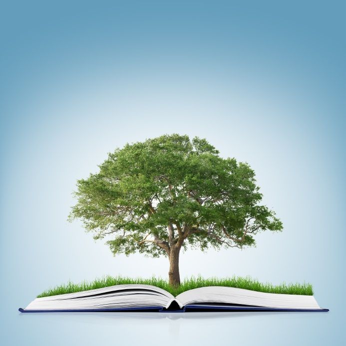 an open book with a tree growing out of it on top of grass and blue background