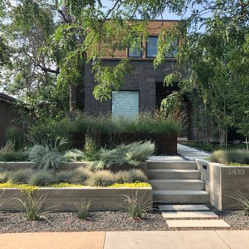 an outdoor garden with steps leading up to the house