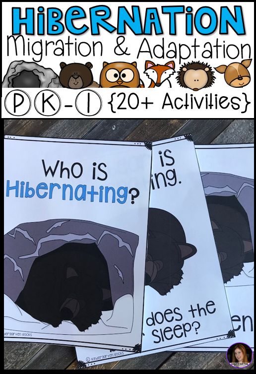 three children's book covers with the words hibernation and an image of two bears