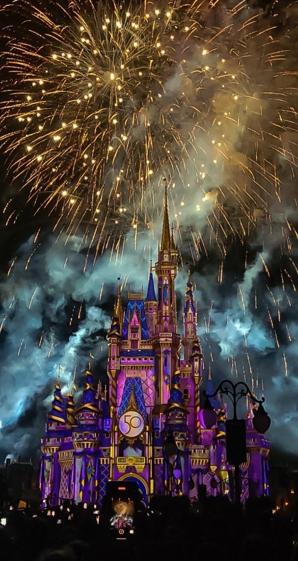 the castle is lit up with colorful fireworks