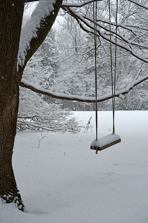 a swing hanging from a tree in the snow