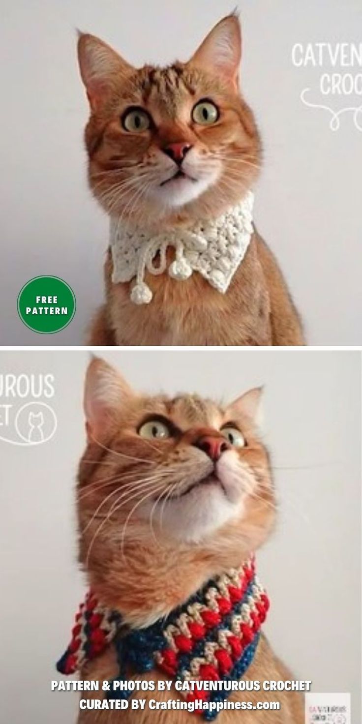 6 Cute Crochet Cat Collar Patterns | Crafting Happiness Crochet Bowtie For Cat, Crochet Pet Bowtie, Crochet Cat Bowtie, Free Cat Collar Crochet Pattern, Crochet Christmas Cat Collar, Crochet Cat Collar Pattern, Cat Collar Crochet Pattern Free, Cat Crochet Collar, Crochet For Dogs Patterns Free