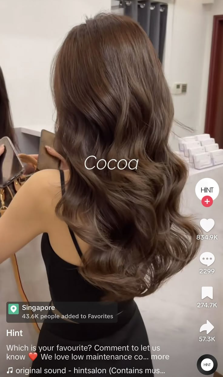 Nutella Brown Hair Color, Hair Color Ideas Solid Colors, Healthy Brown Hair Color, Thalia Hair Color, Brown Hair Colors On Tan Skin, Hair Dye Ideas For Brunettes Straight, Medium Mocha Brown Hair Color, Long Chocolate Hair, Different Brown Hair Colors Shades Brunettes