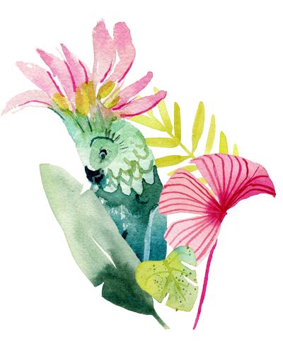 a watercolor painting of a parrot with flowers