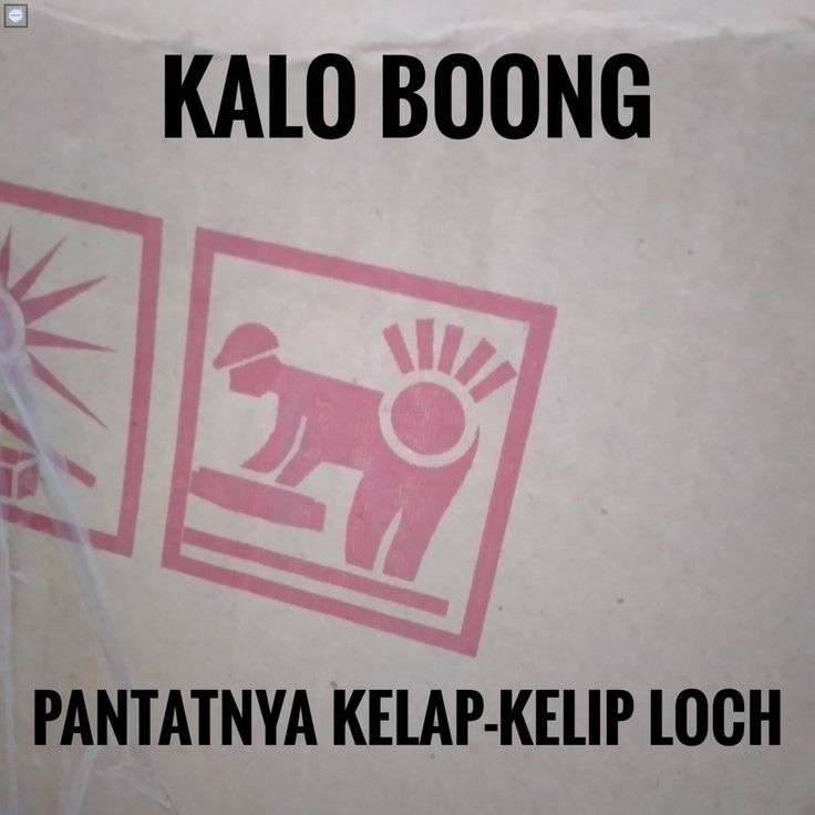 a cardboard box with an image of a dog on it and the words kalo boong