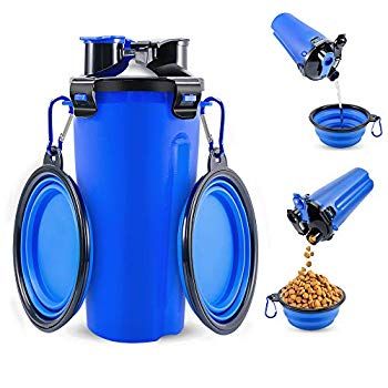 the blue dog bowl is being used as a water bottle for dogs to drink from it