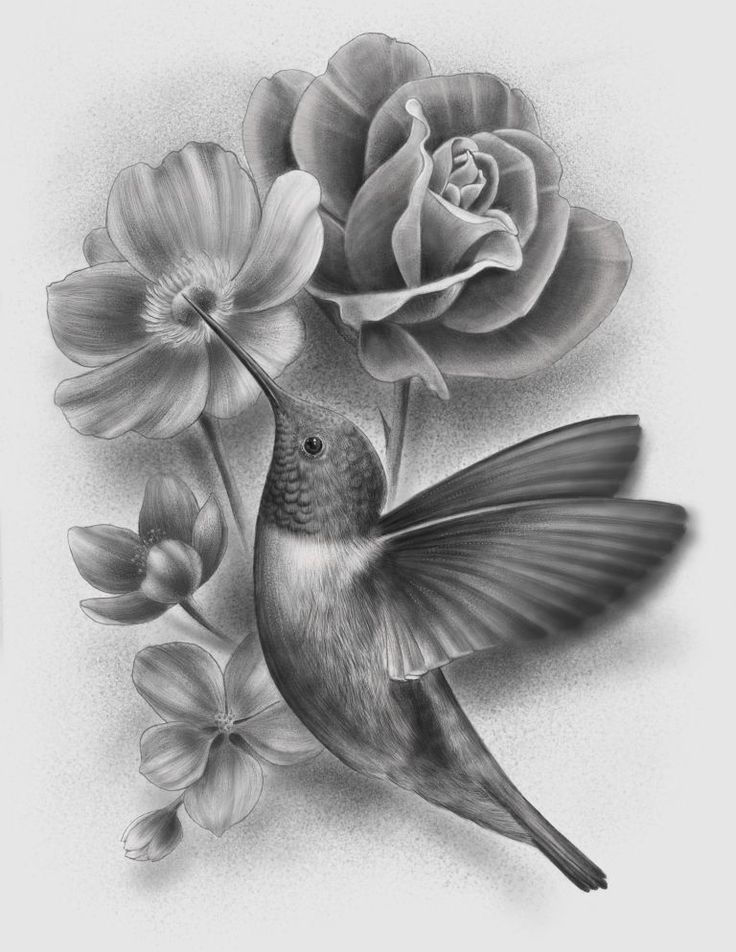 a black and white drawing of a hummingbird with flowers