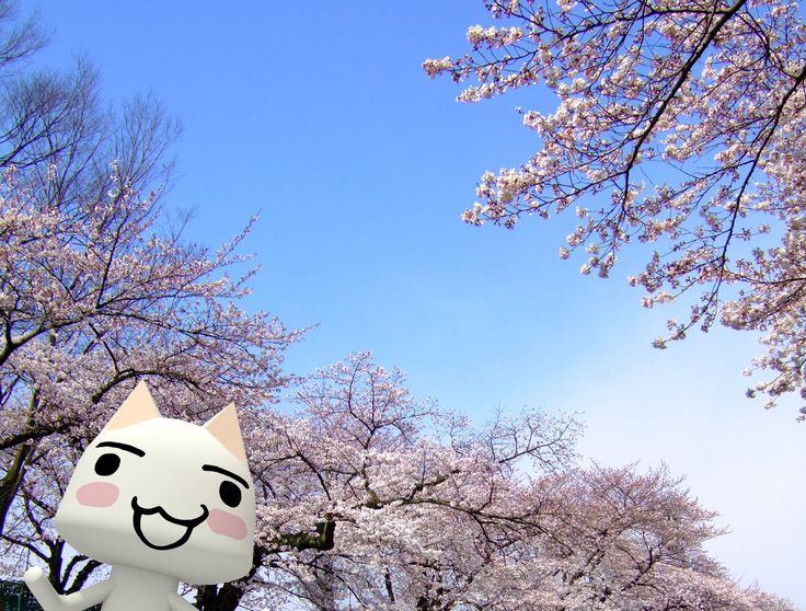 an inflatable cat sitting on top of a park bench next to cherry blossom trees