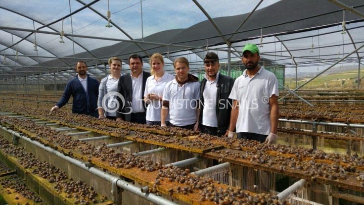 a group of people standing next to each other in a greenhouse