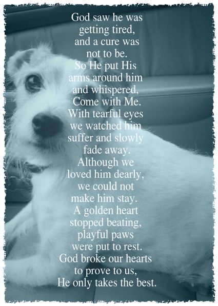 a white dog sitting on top of a couch next to a poem written in black and white