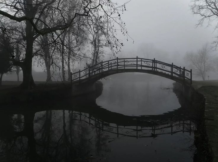 a bridge over a body of water with trees in the background on a foggy day