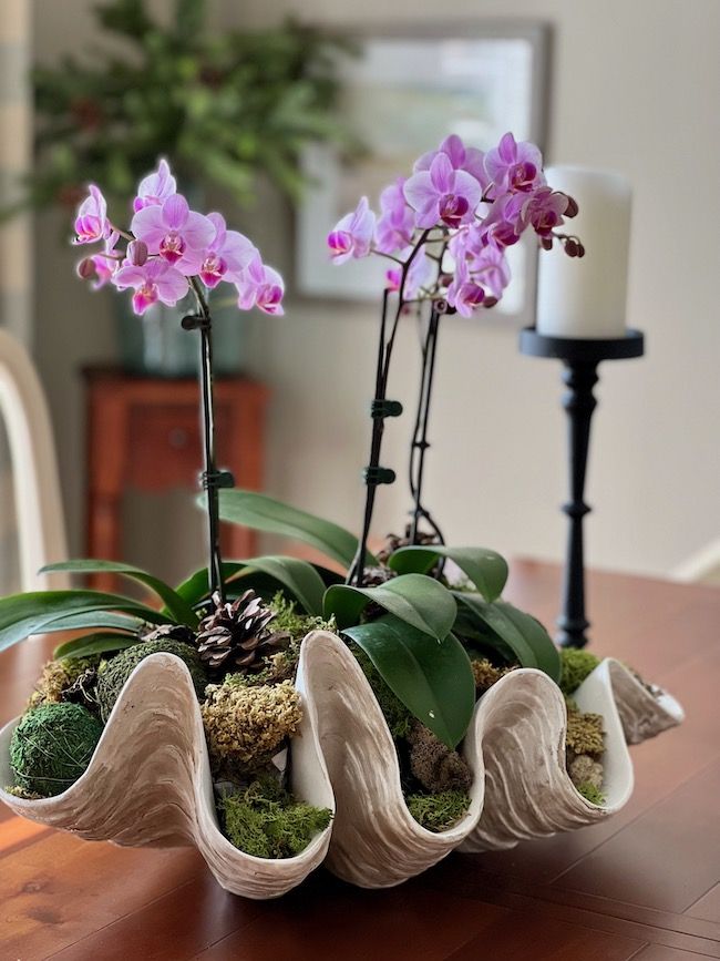 two orchids are sitting on a table with moss and rocks in the centerpiece