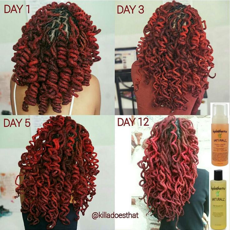 Red Locs, Curly Dreads, Curly Locs, Dread Heads, Dreads Girl, Beautiful Dreadlocks, Dreadlock Styles, Dreads Styles, Loc Journey