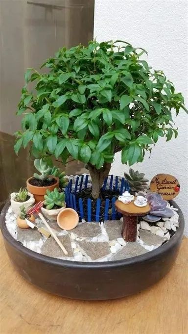 a bonsai tree in a pot on top of a table next to other plants