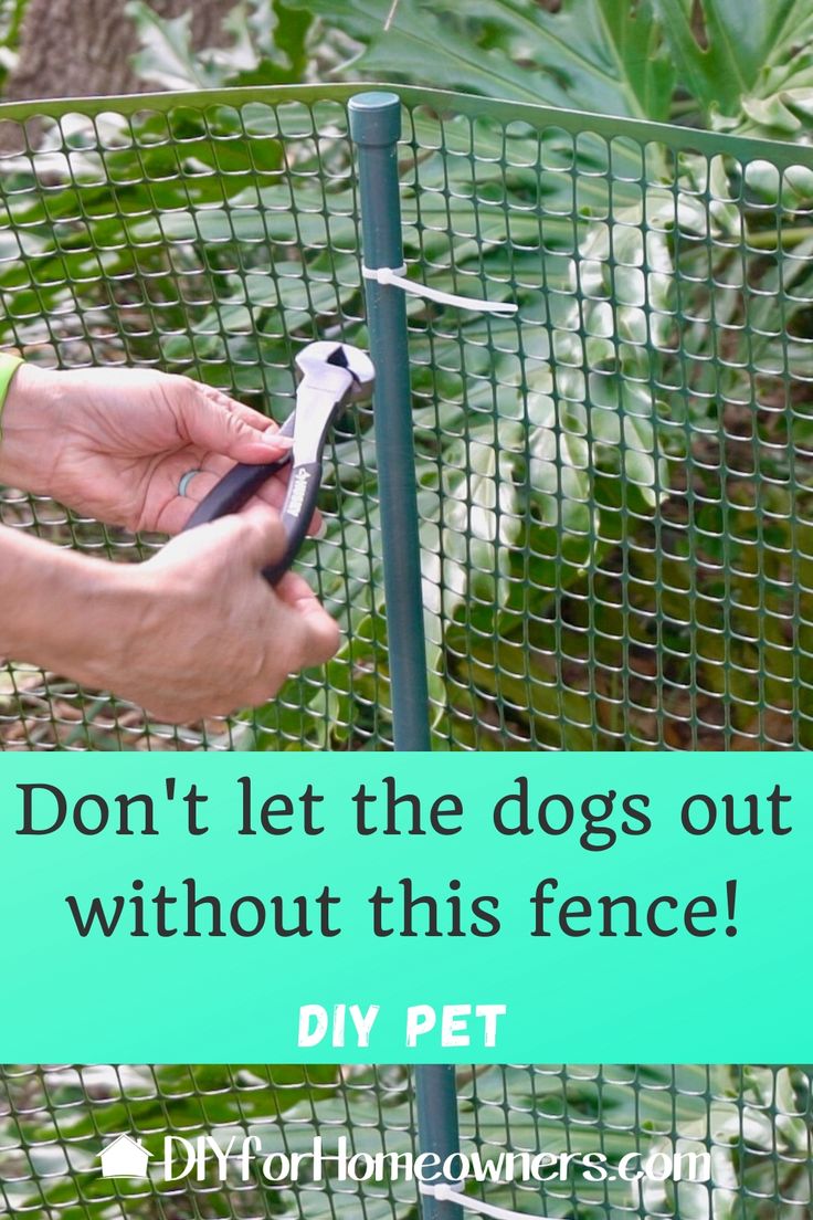 someone is cutting through the fence with pliers to get their dog's food