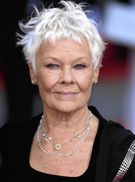 Celebrity Short Hair, Guy Tang, Corte Bob, Judi Dench, Short Grey Hair, Best Short Haircuts, Haircut For Older Women, Short Pixie Cut, Short Hairstyle